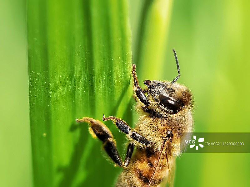 迷路了图片素材
