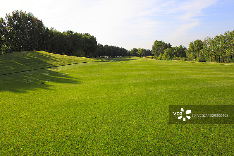清晨的高尔夫球场图片素材