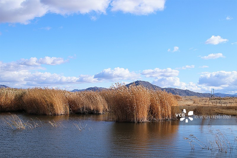 新疆 秋季的可可苏里图片素材