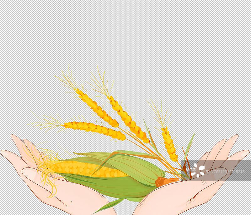 农业丰收节插画元素节气小满图片素材