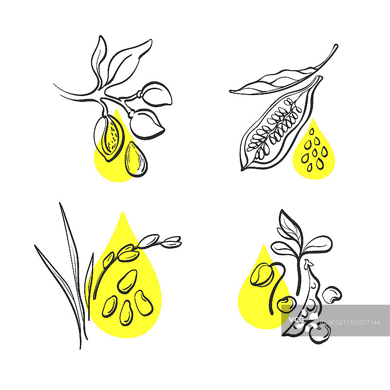 手绘有机油套装标志图片素材