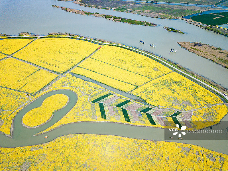 航拍俯视江苏扬州高邮湖河流中有图案的黄色块状田地图片素材
