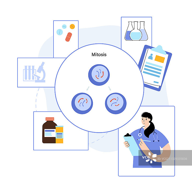 有丝分裂过程概念图片素材