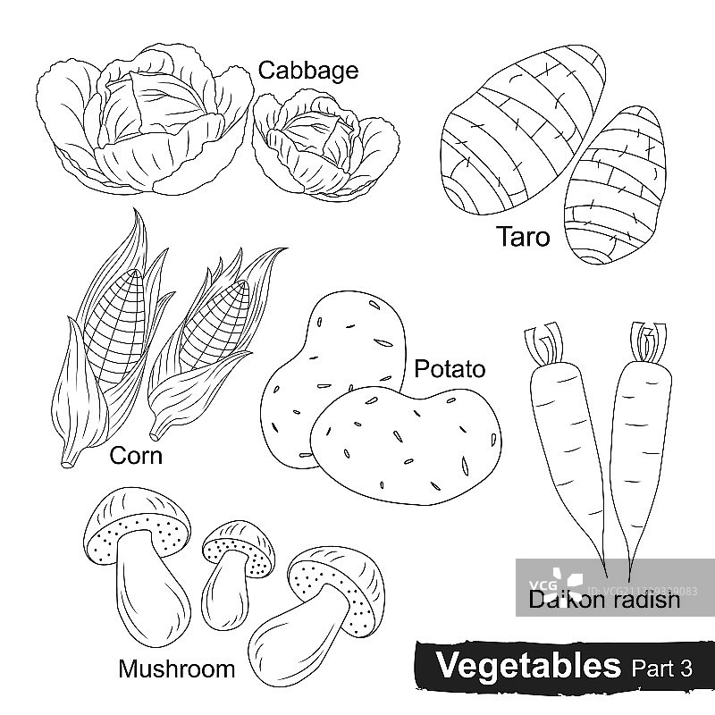 蔬菜线条合集第3部分图片素材