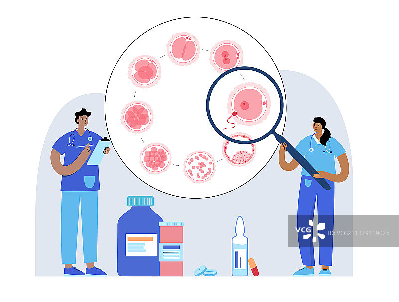 胚胎发育概念图片素材