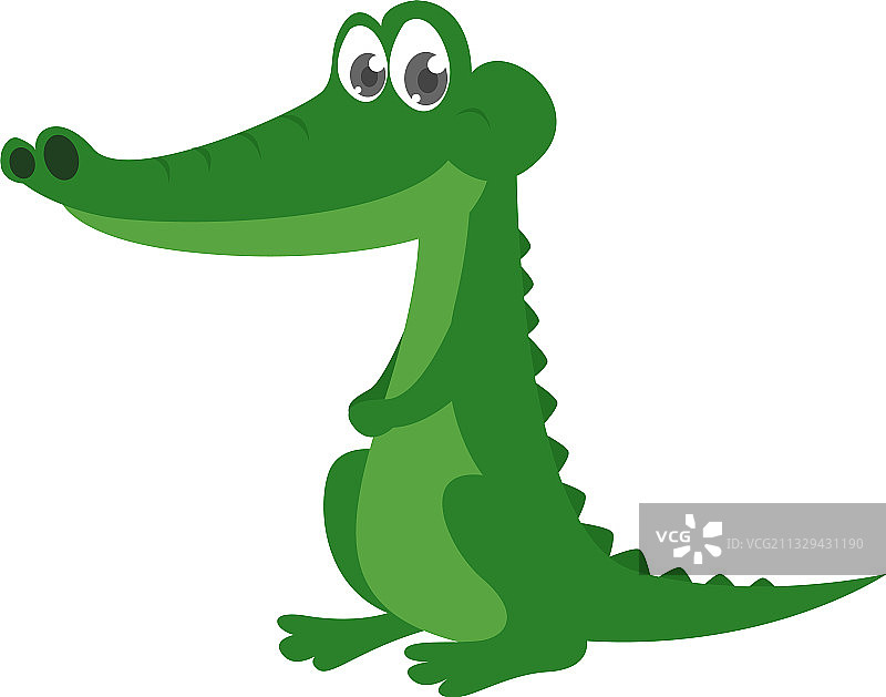 白色背景上的好鳄鱼图片素材