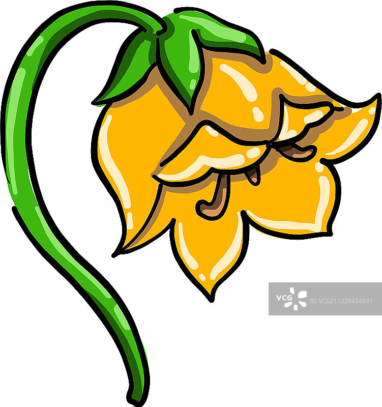 白色背景上的悲伤黄色花朵图片素材