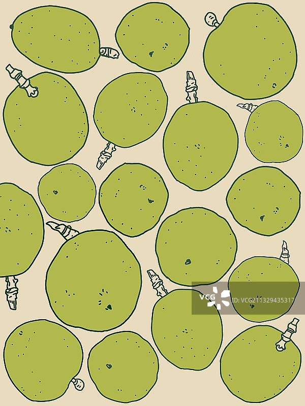 百香果 壁纸图片素材