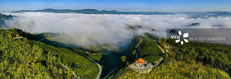 贵阳市百花湖畔茶园云雾弥漫图片素材
