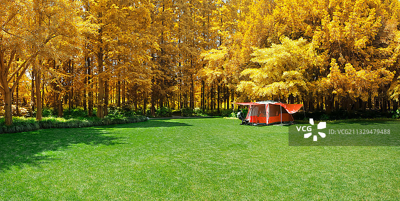 休闲的假期图片素材