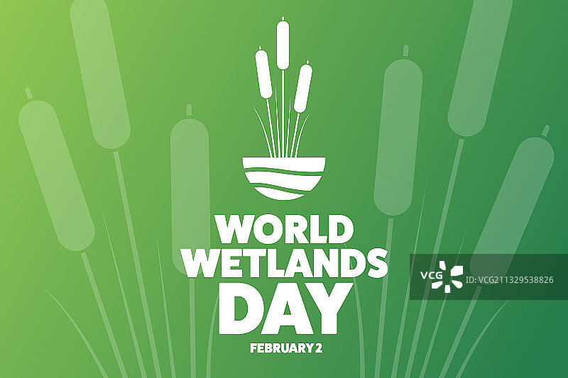世界湿地日2月2日节日概念图片素材