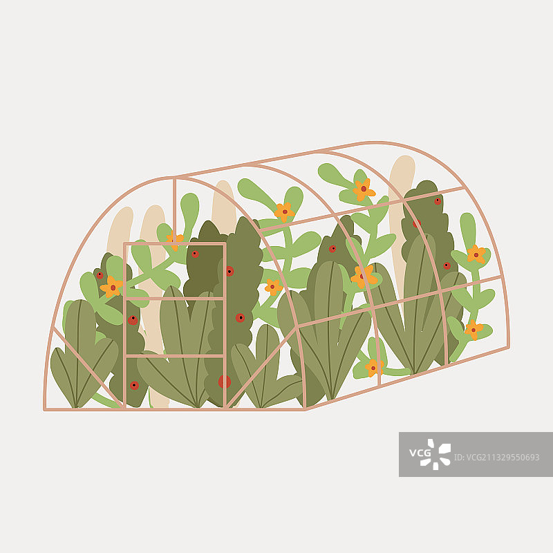 手绘温室花园植物叶子图片素材