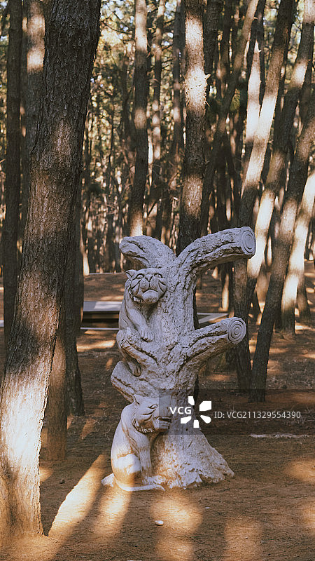 林海公园 威海图片素材