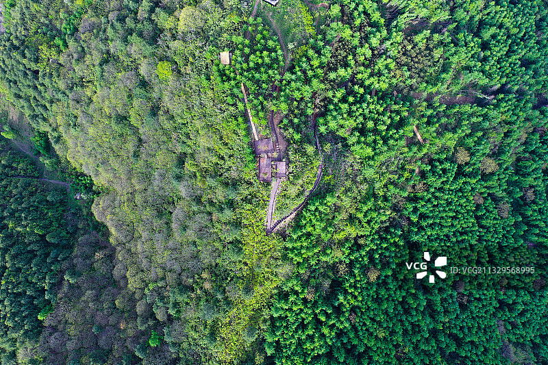 山脉森林图片素材