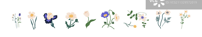 花园植物花卉套装图片素材