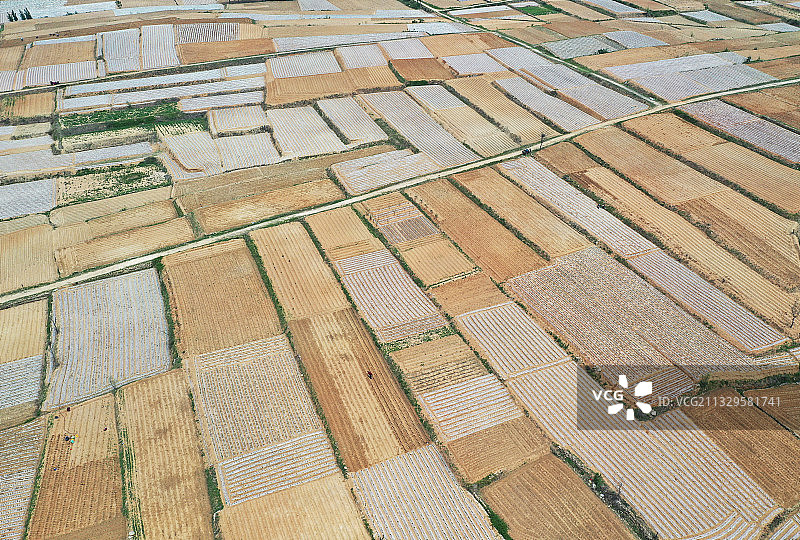 山东枣庄山亭区覆盖地膜播种的地块如同给大地披上美丽白纱图片素材