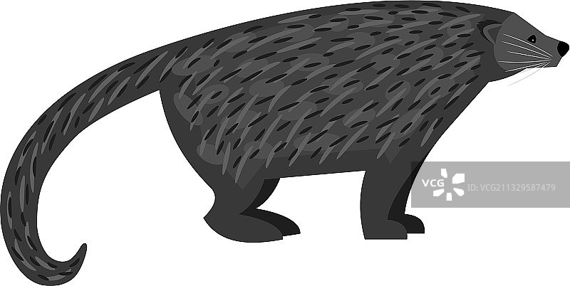 热带掠食者卡通熊狸图片素材