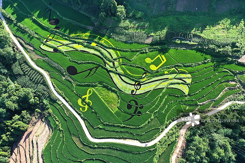 重庆云阳县美丽乡村跳动的音乐符图片素材