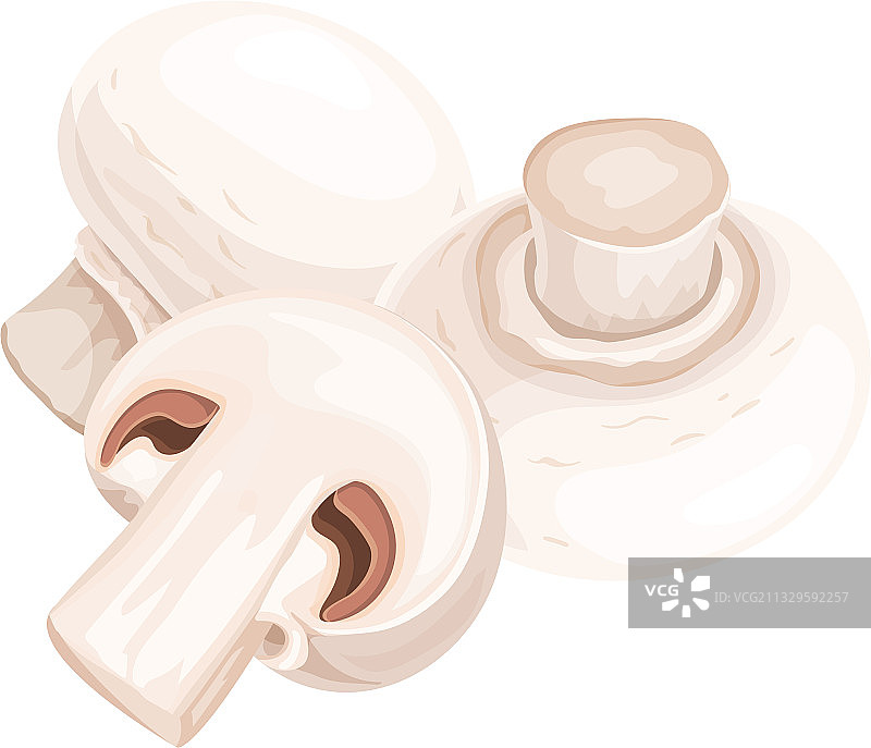 食用蘑菇图片素材