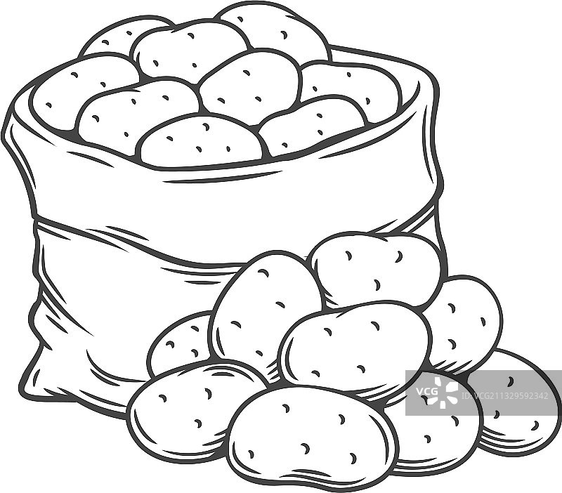 手绘单色马铃薯块茎轮廓图片素材