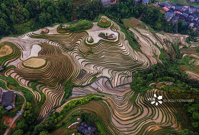初夏时节，航拍雨后的龙脊梯田图片素材