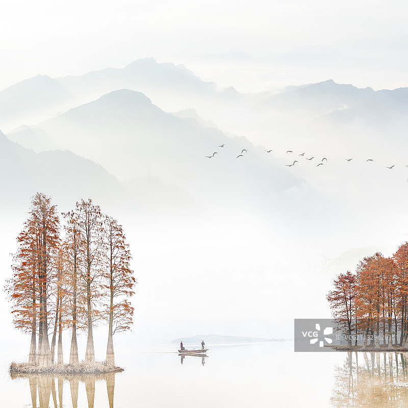 浙江四明湖水杉图片素材