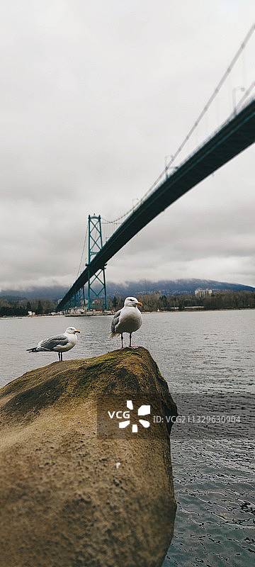 加拿大斯坦利公园的河上桥梁景观图片素材