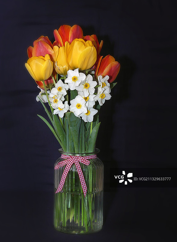 匈牙利黑色背景下的花瓶鲜花特写图片素材