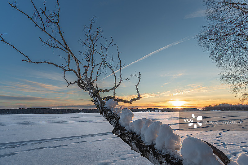 立陶宛乌田纳日落时分雪原美景图片素材