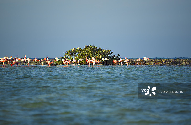 巴哈马马亚瓜纳岛的晴空海景图片素材