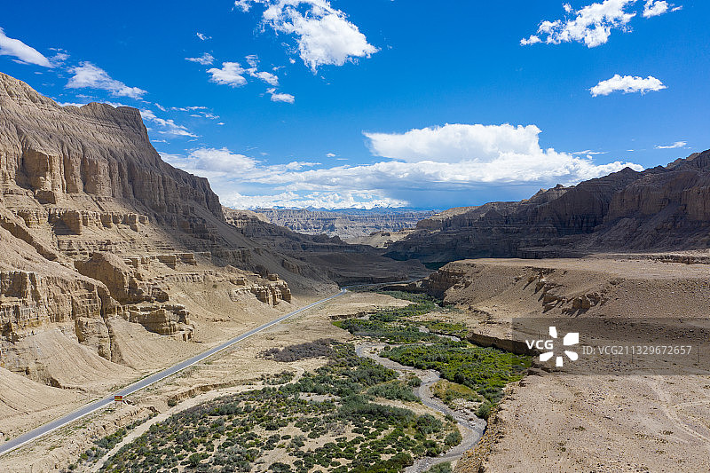 如此荒芜的地方居然还能长出植物图片素材