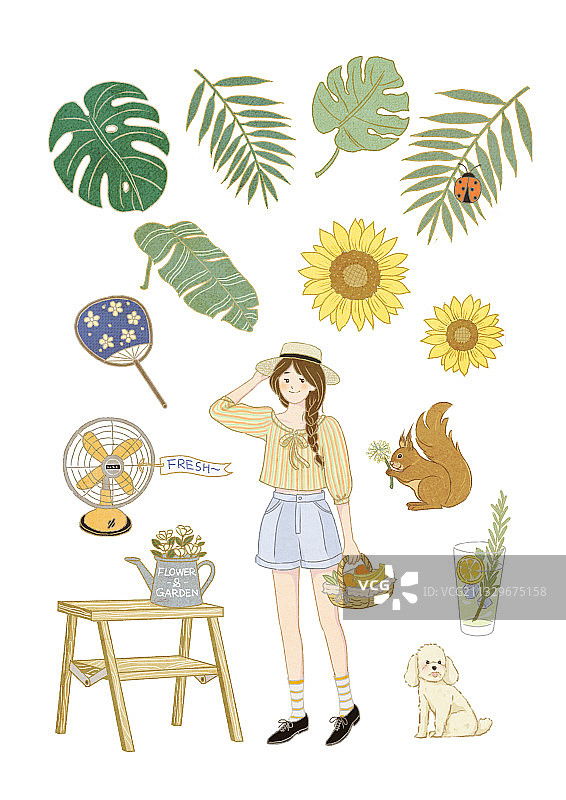 夏日物语图片素材