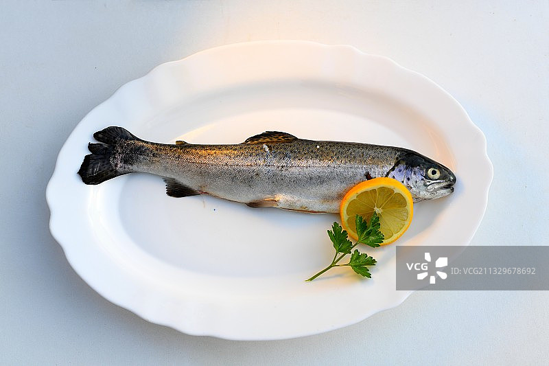 高角度拍摄法国蒙卡雷餐盘中的鲱鱼图片素材