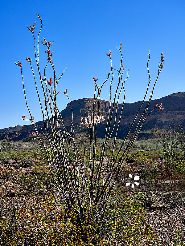 美国开阔田野风光图片素材