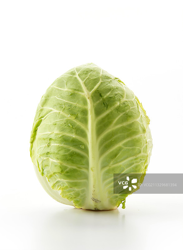 白色背景下的卷心菜特写图片素材