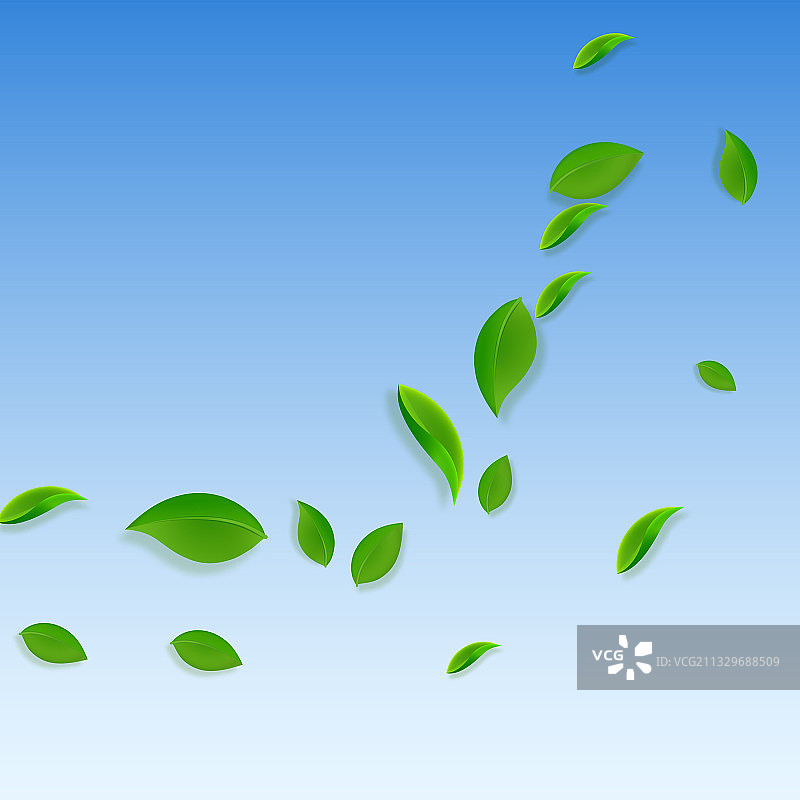 掉落的绿叶，新鲜茶叶飞舞图片素材