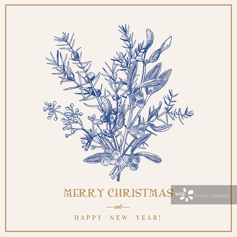 冬季植物花束图片素材