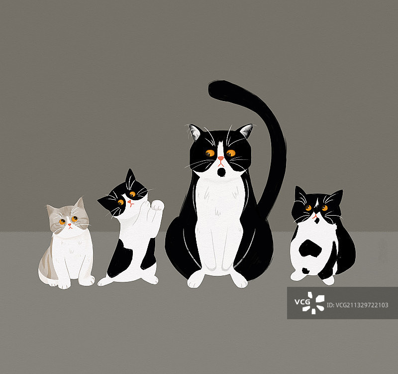 猫咪全家福图片素材