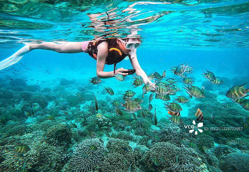 海底世界图片素材