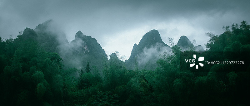 漓江湖畔，凤尾竹图片素材