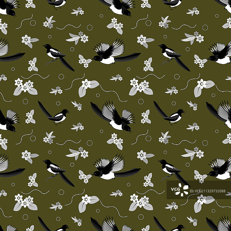 不同姿势的喜鹊无缝图案图片素材
