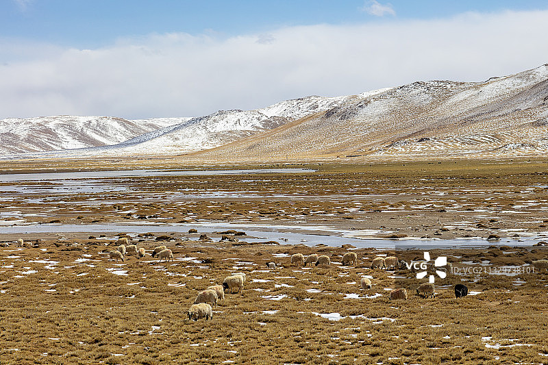 中国 西藏 那曲 安多图片素材