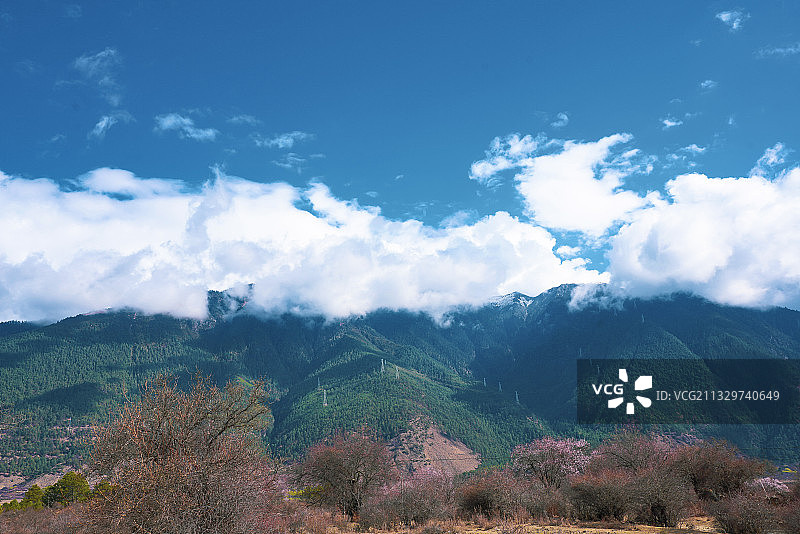 西藏·林芝·米林县·里龙乡·桃花 沿途风光 高原雪山风景图片素材