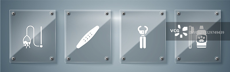 宠物牙齿清洁护理套装，含宠物指甲钳图片素材