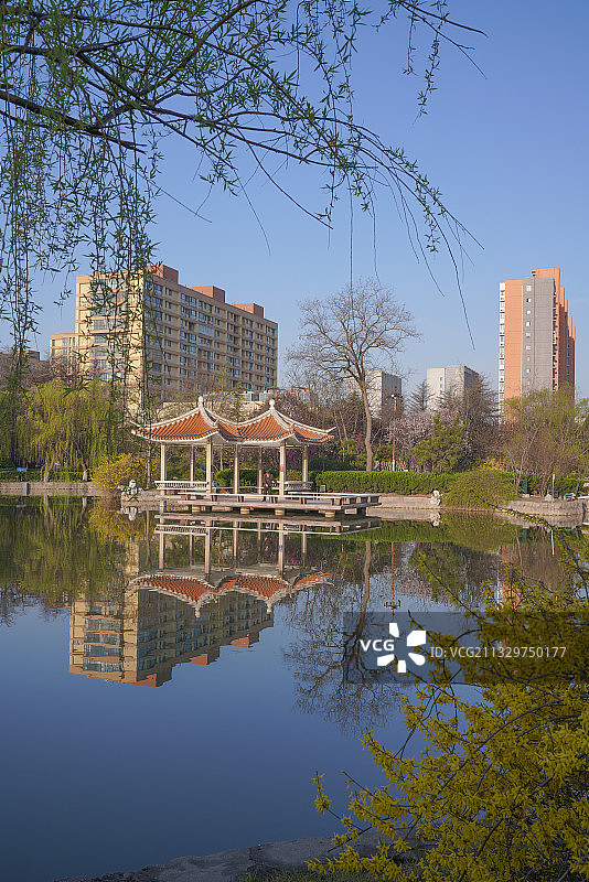 胶州公园 青岛图片素材