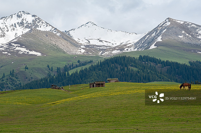 新疆喀拉峻草原风光图片素材