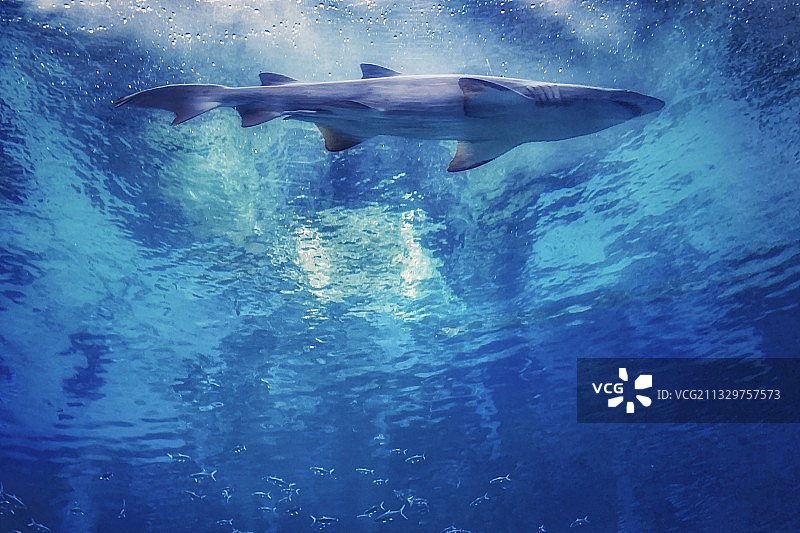 昆明融创海世界图片素材