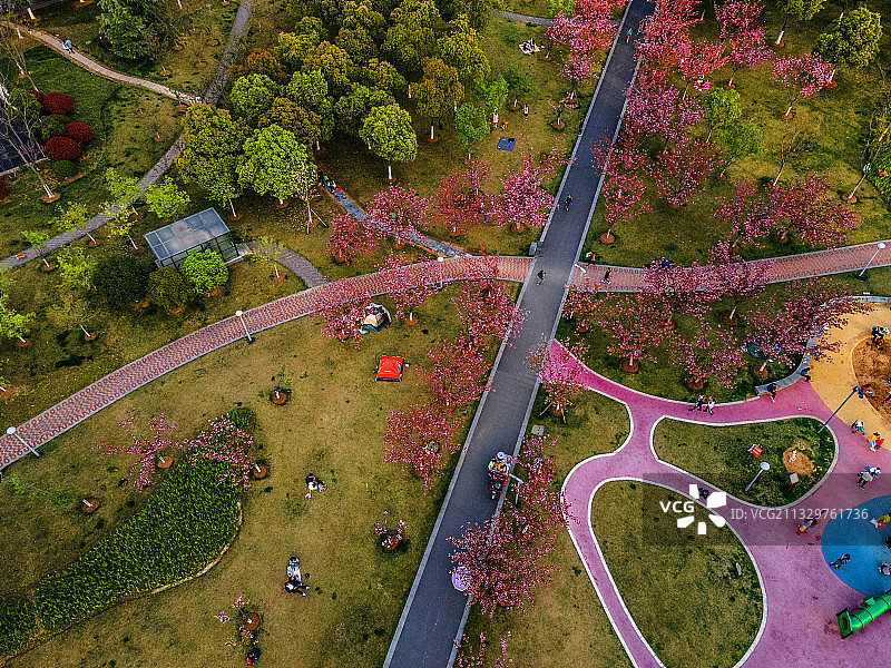 春色满园图片素材