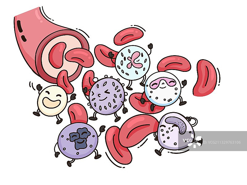 血液细胞嗜碱性粒细胞图片素材