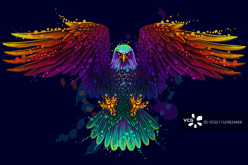 飞翔的秃鹰图片素材